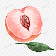 WWW,av721·COM网站APPAPP应用
